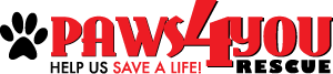 Paws 4 You Rescue (Miami, FL)